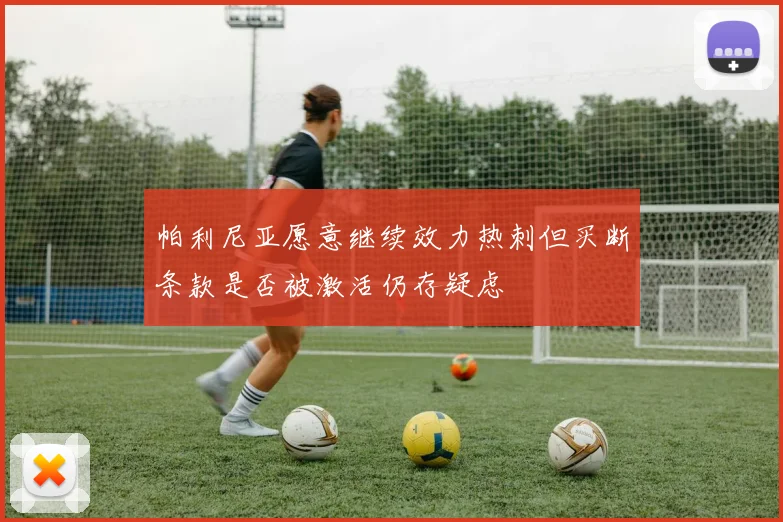 帕利尼亚愿意继续效力热刺但买断条款是否被激活仍存疑虑